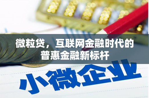 全州微粒贷，互联网金融时代的普惠金融新标杆