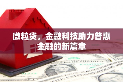 全州微粒贷，金融科技助力普惠金融的新篇章