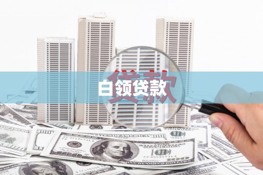 全州白领贷款