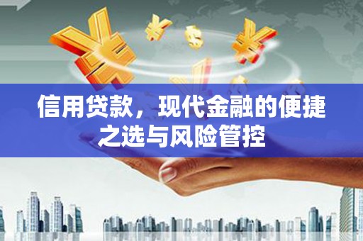 全州信用贷款，现代金融的便捷之选与风险管控