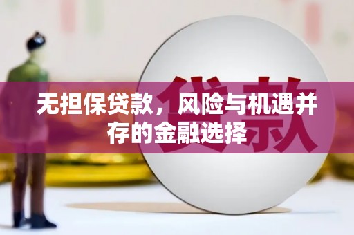 全州无担保贷款，风险与机遇并存的金融选择
