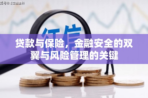 全州贷款与保险，金融安全的双翼与风险管理的关键