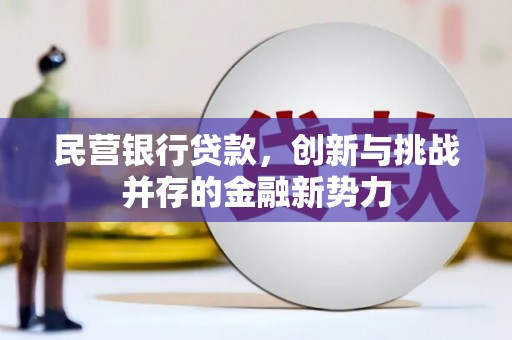 全州民营银行贷款，创新与挑战并存的金融新势力