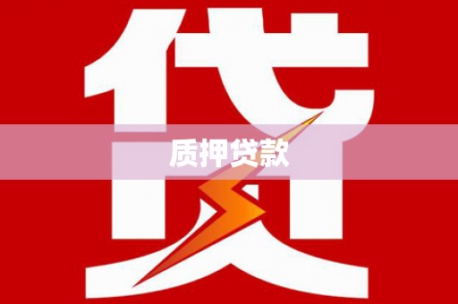 全州质押贷款