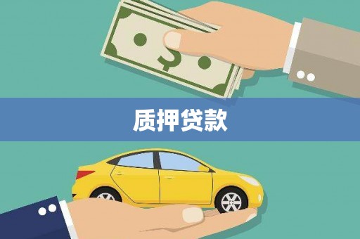 全州质押贷款