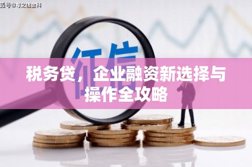 全州税务贷，企业融资新选择与操作全攻略