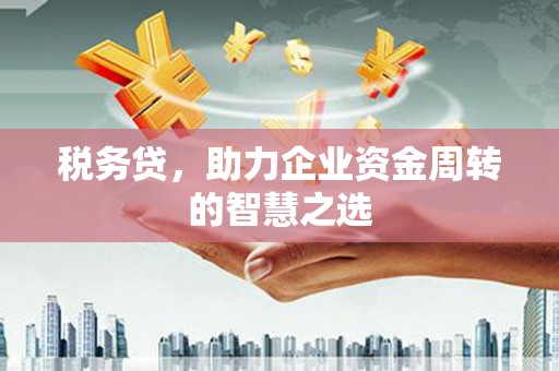 全州税务贷，助力企业资金周转的智慧之选
