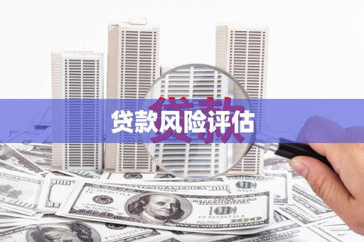 全州贷款风险评估