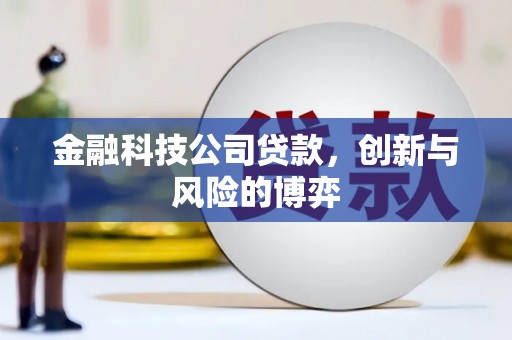 全州金融科技公司贷款，创新与风险的博弈