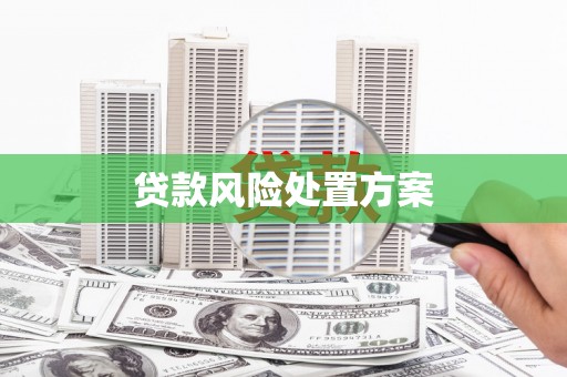 全州贷款风险处置方案