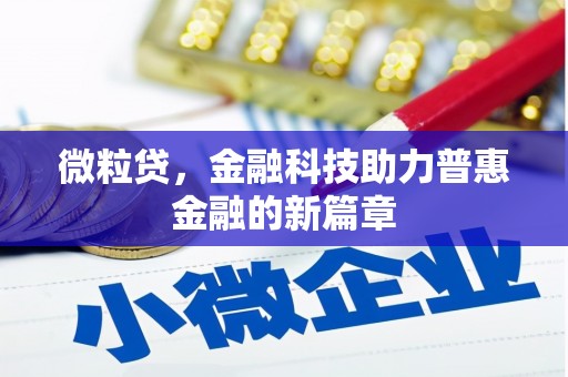 全州微粒贷，金融科技助力普惠金融的新篇章