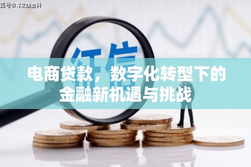 全州电商贷款，数字化转型下的金融新机遇与挑战