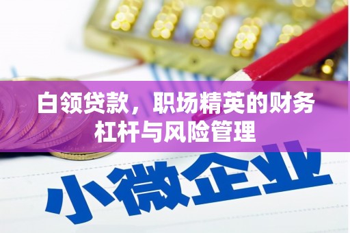 全州白领贷款，职场精英的财务杠杆与风险管理