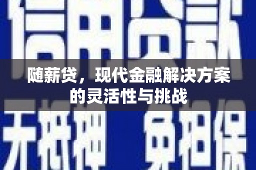 全州随薪贷，现代金融解决方案的灵活性与挑战
