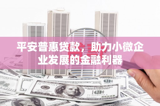 全州平安普惠贷款，助力小微企业发展的金融利器
