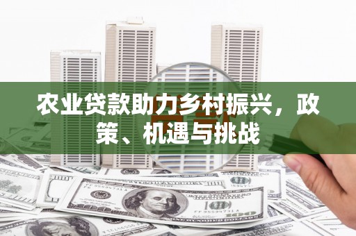 全州农业贷款助力乡村振兴，政策、机遇与挑战