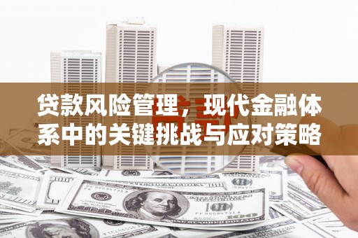 全州贷款风险管理，现代金融体系中的关键挑战与应对策略