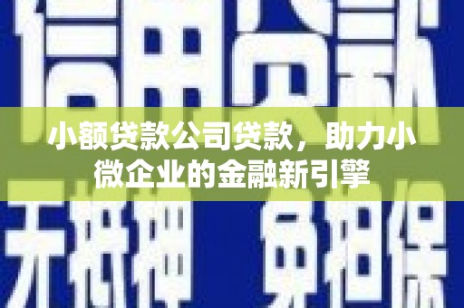 全州小额贷款公司贷款，助力小微企业的金融新引擎