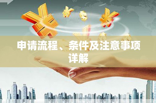 全州申请流程、条件及注意事项详解