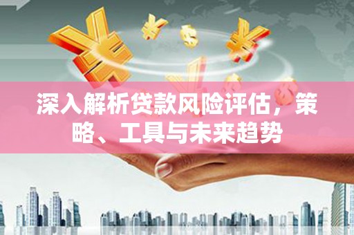 全州深入解析贷款风险评估，策略、工具与未来趋势