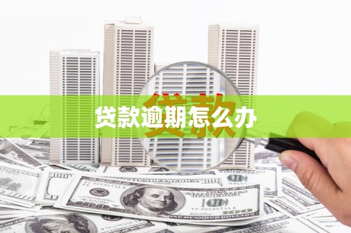 全州贷款逾期怎么办