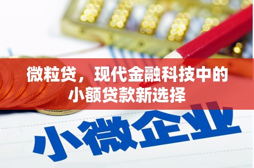 全州微粒贷，现代金融科技中的小额贷款新选择