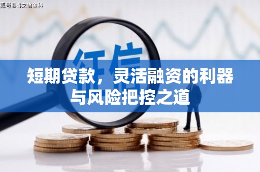 全州短期贷款，灵活融资的利器与风险把控之道