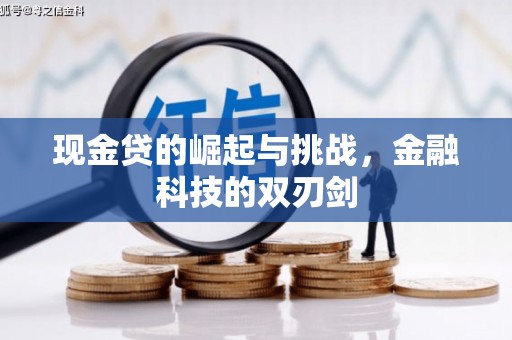 全州现金贷的崛起与挑战，金融科技的双刃剑