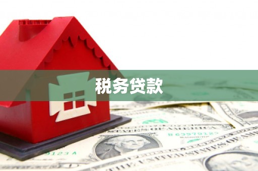 全州税务贷款