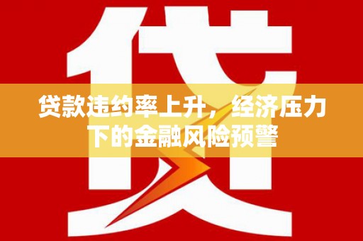 全州贷款违约率上升，经济压力下的金融风险预警