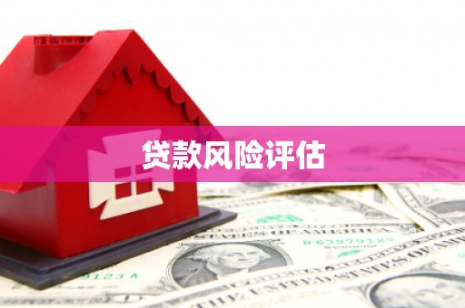 全州贷款风险评估