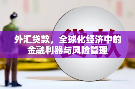 全州外汇贷款，全球化经济中的金融利器与风险管理