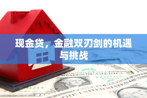 全州现金贷，金融双刃剑的机遇与挑战