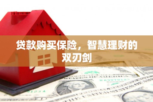 全州贷款购买保险，智慧理财的双刃剑