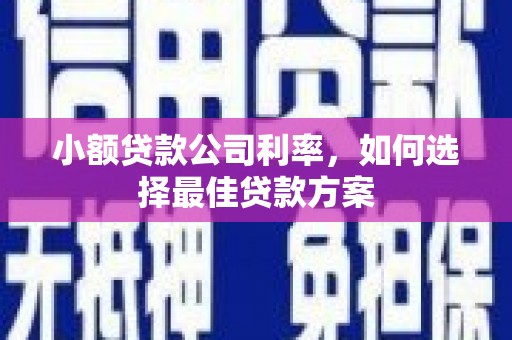 全州小额贷款公司利率，如何选择最佳贷款方案