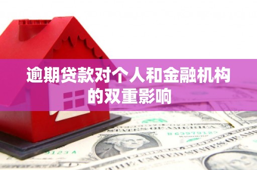 全州逾期贷款对个人和金融机构的双重影响