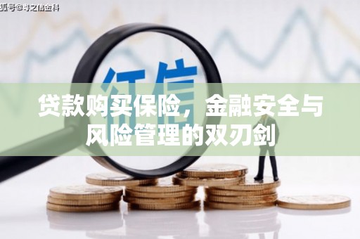 全州贷款购买保险，金融安全与风险管理的双刃剑
