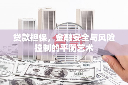 全州贷款担保，金融安全与风险控制的平衡艺术