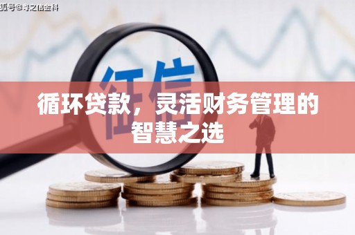 全州循环贷款，灵活财务管理的智慧之选