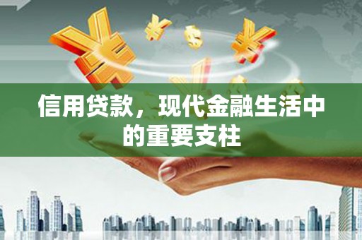 全州信用贷款，现代金融生活中的重要支柱