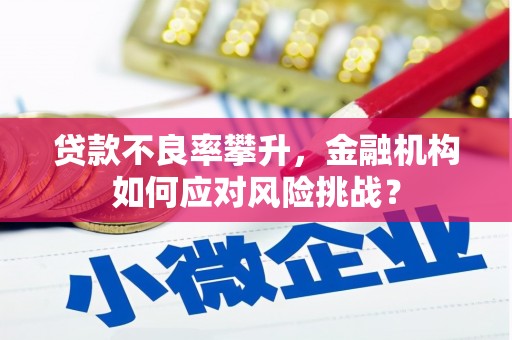 全州贷款不良率攀升，金融机构如何应对风险挑战？