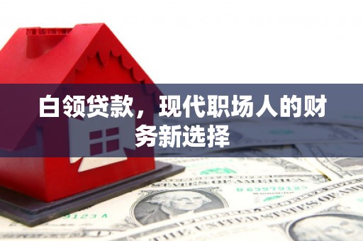 全州白领贷款，现代职场人的财务新选择