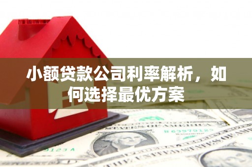 全州小额贷款公司利率解析，如何选择最优方案