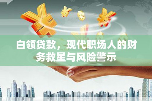 全州白领贷款，现代职场人的财务救星与风险警示