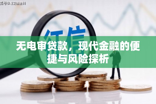全州无电审贷款，现代金融的便捷与风险探析