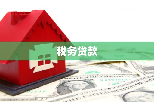 全州税务贷款
