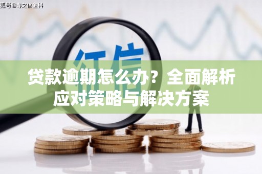 全州贷款逾期怎么办？全面解析应对策略与解决方案