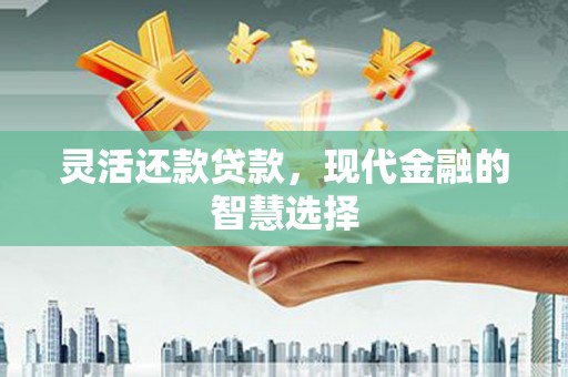 全州灵活还款贷款，现代金融的智慧选择