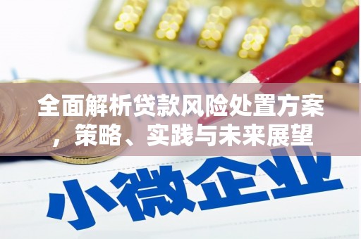 全州全面解析贷款风险处置方案，策略、实践与未来展望