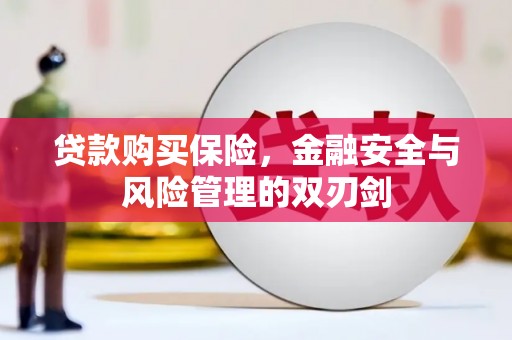 全州贷款购买保险，金融安全与风险管理的双刃剑